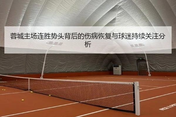 蓉城主场连胜势头背后的伤病恢复与球迷持续关注分析